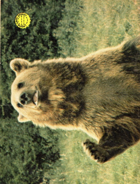26