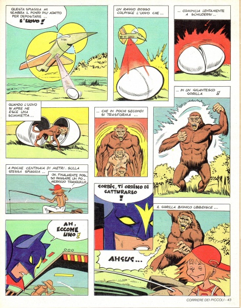 43