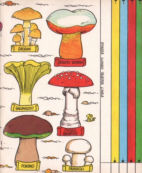 29