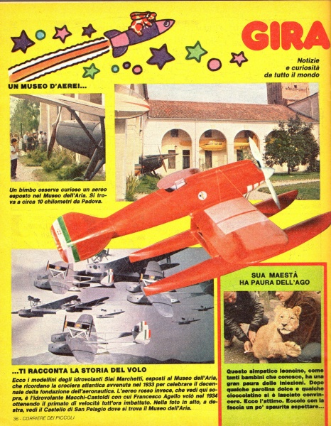 36