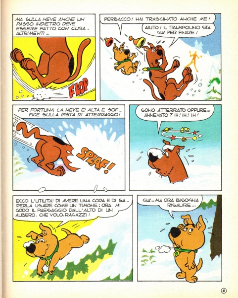 41