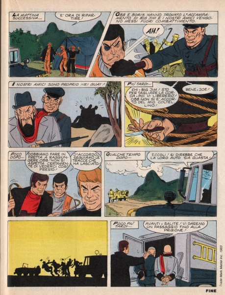 41