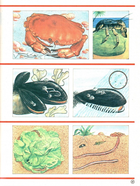 47
