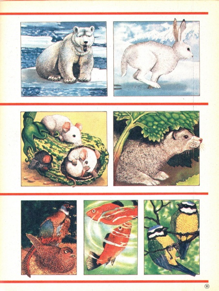 53