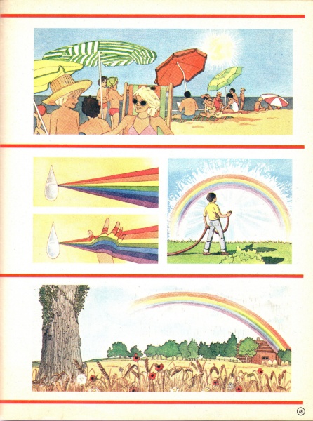 49