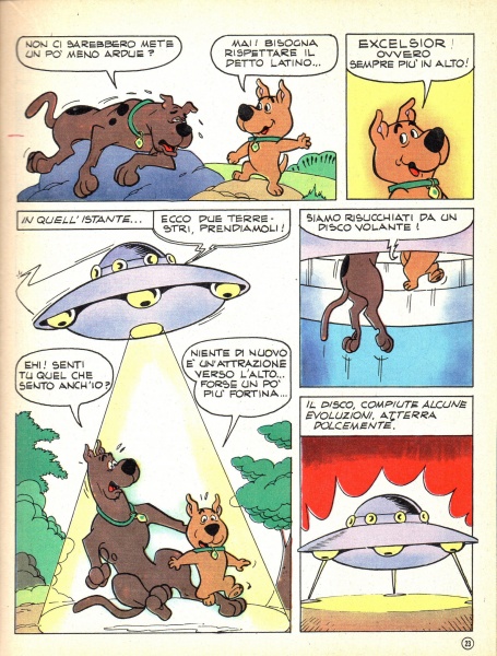 23