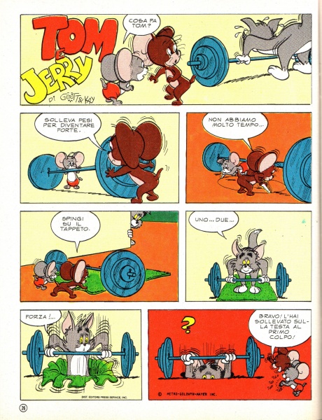 26