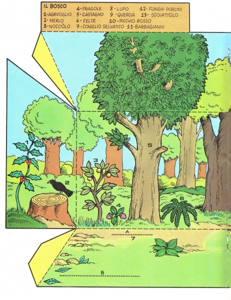 36