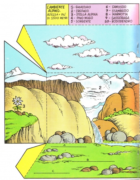 36