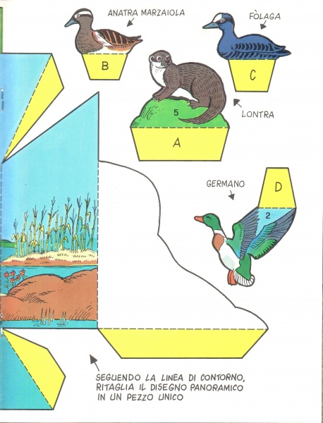 37