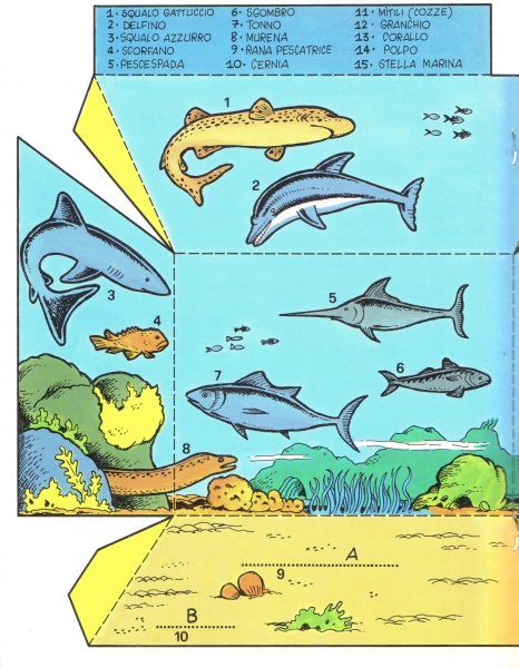 36