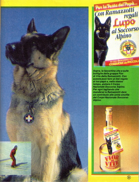 51