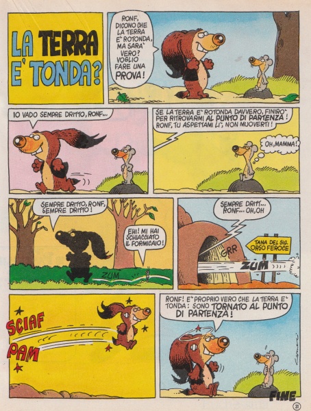 31