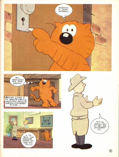 43