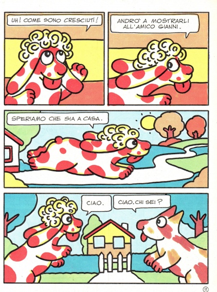 17