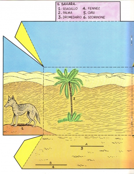36
