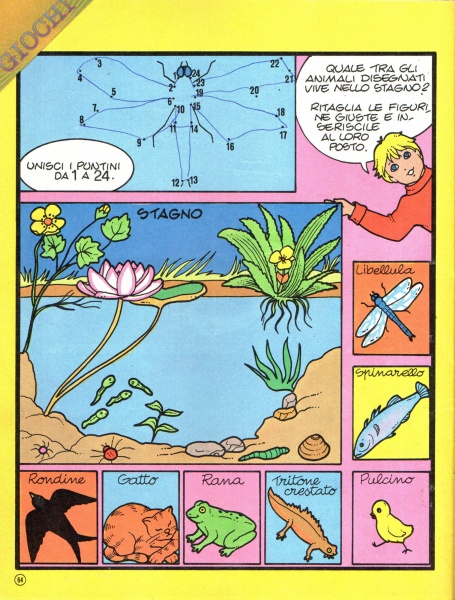 64