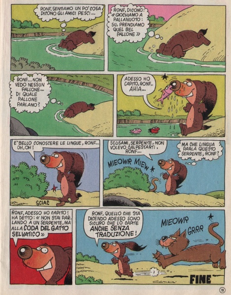 19
