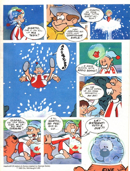 31