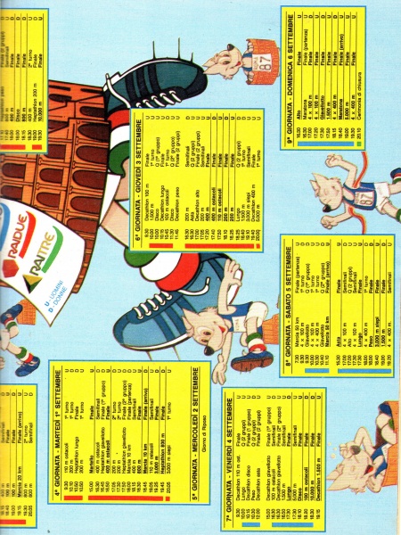 43