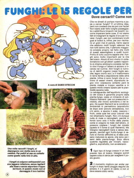 36