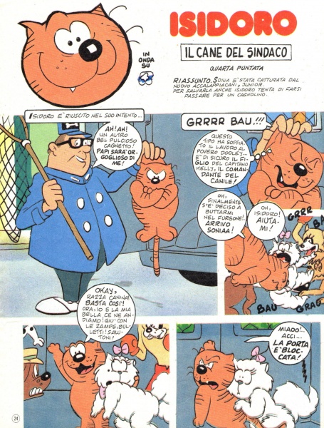 24