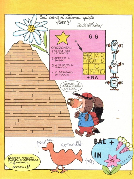 31