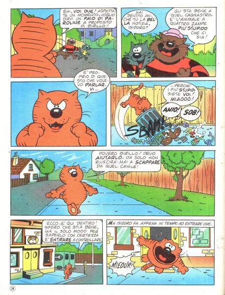 34