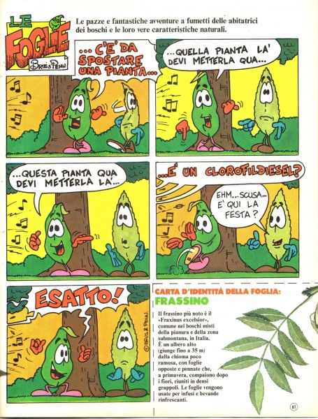 61