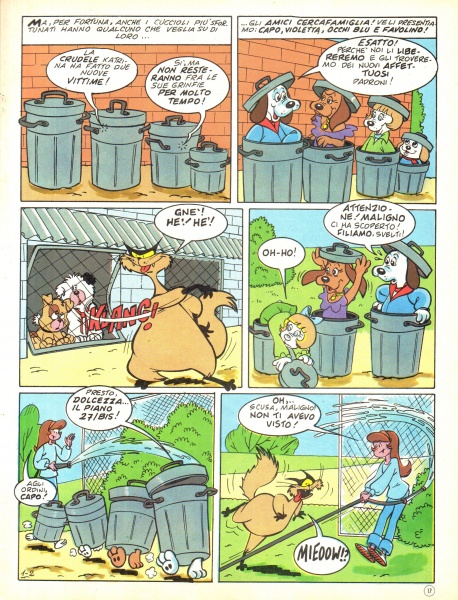 17