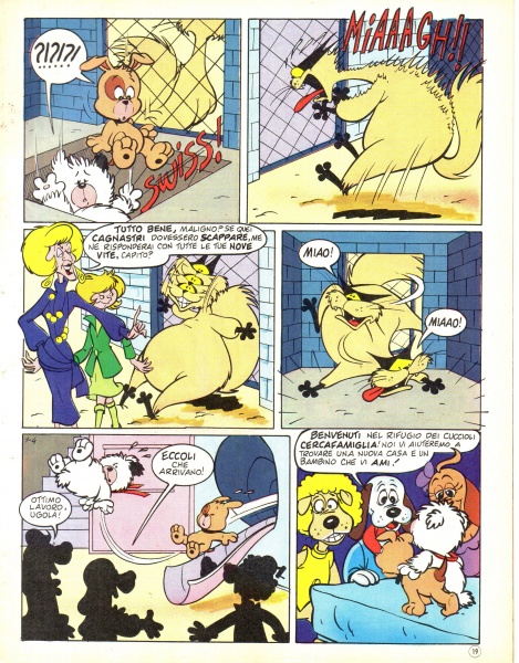 19