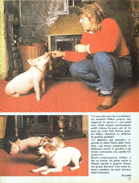 19