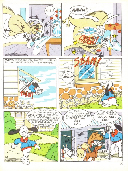 29