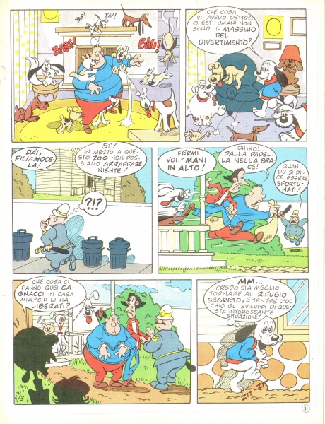 31