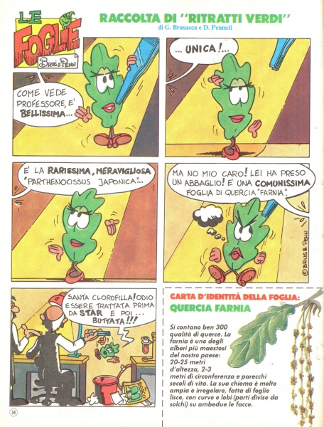 34