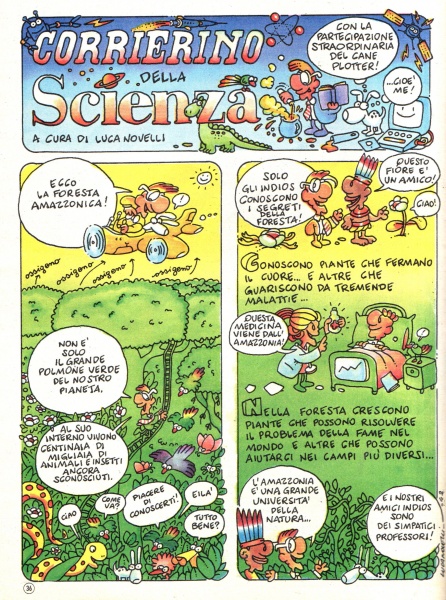 36