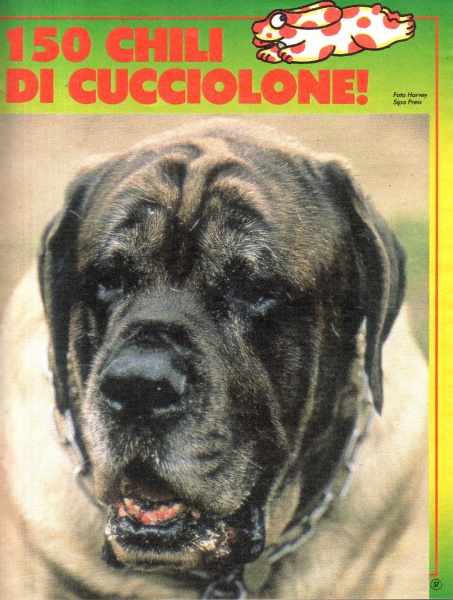 57