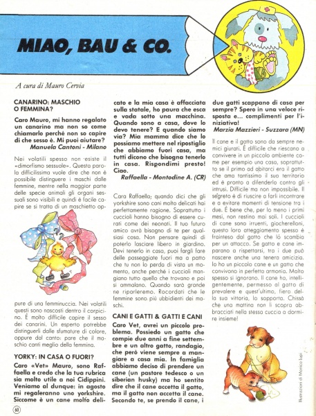 60