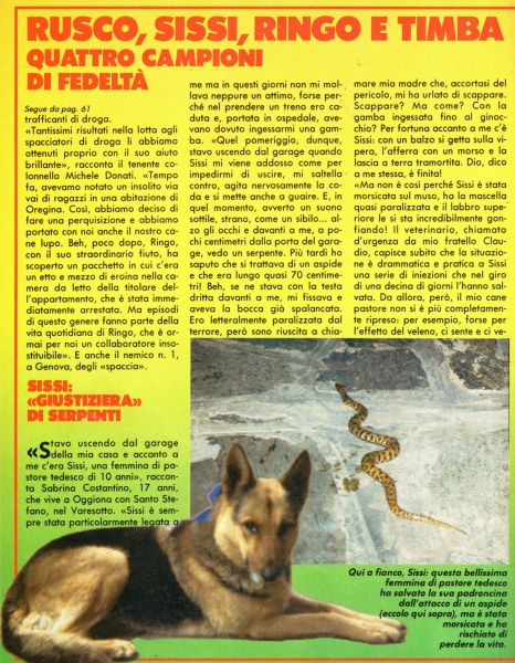 62