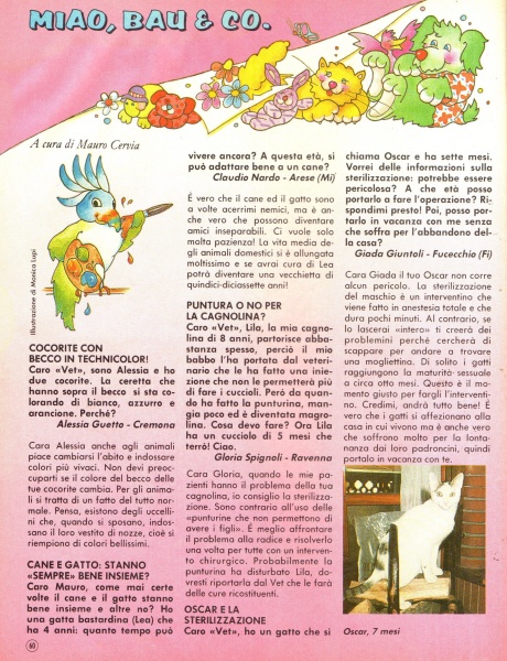 60