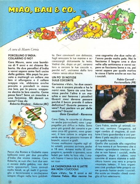 38