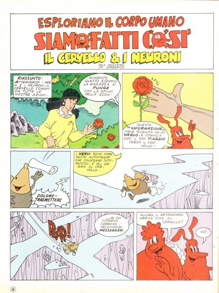 66