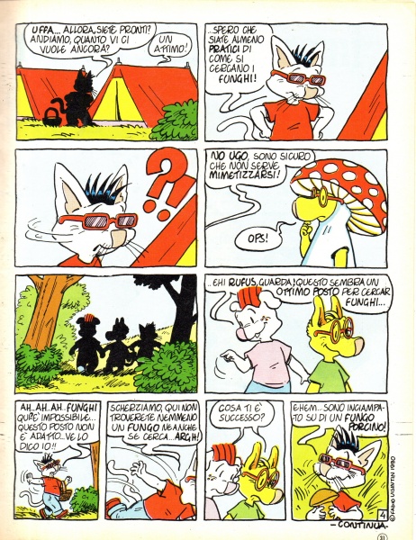 31