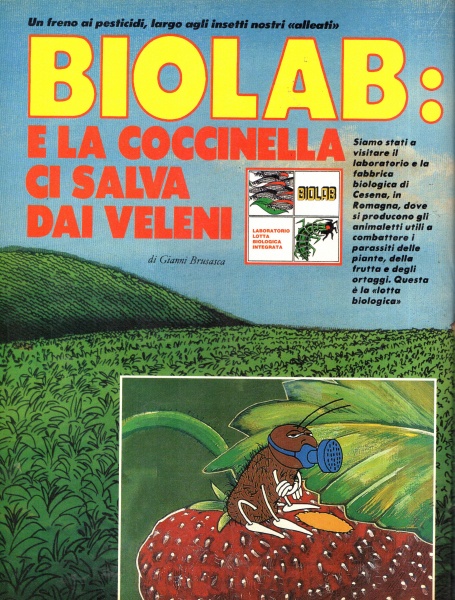 54