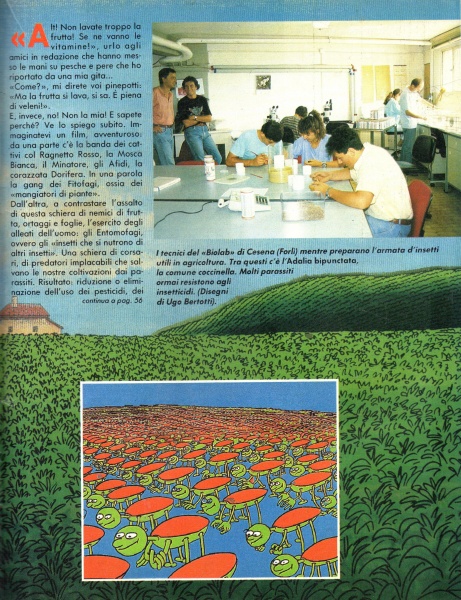 55