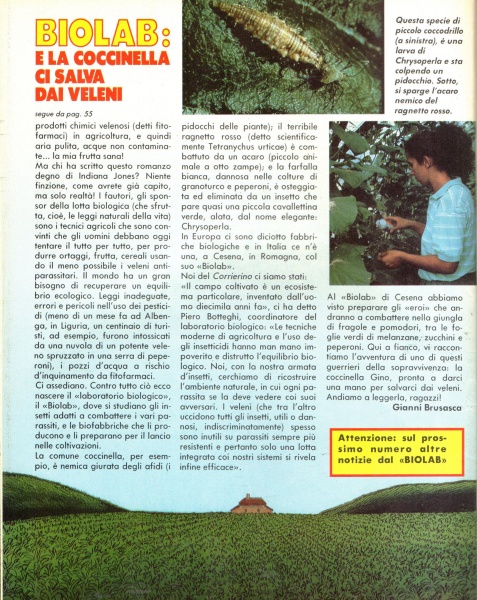 56