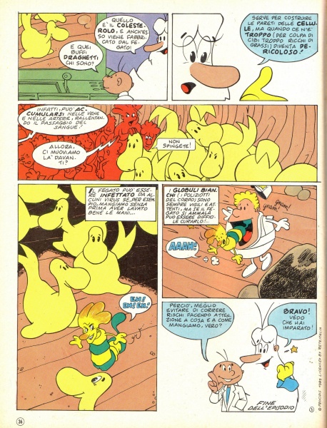 36