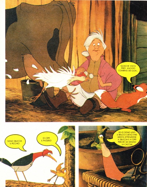 23