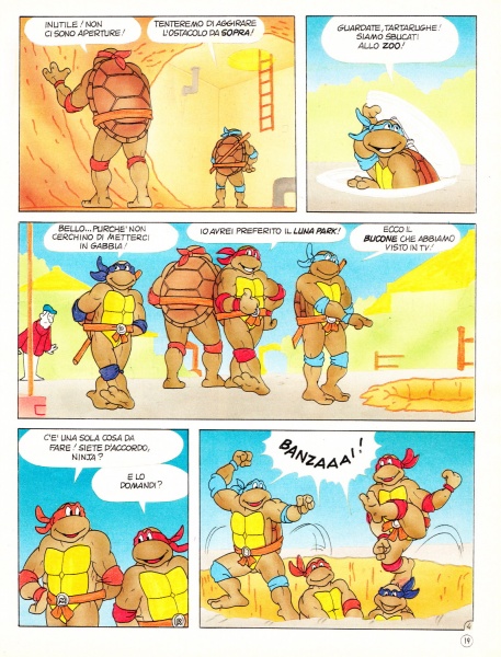 19