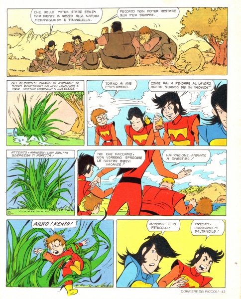 43